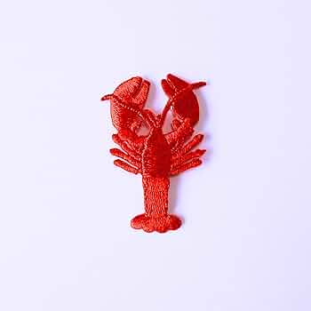 71JoXt+7FGL._AC_UF350,